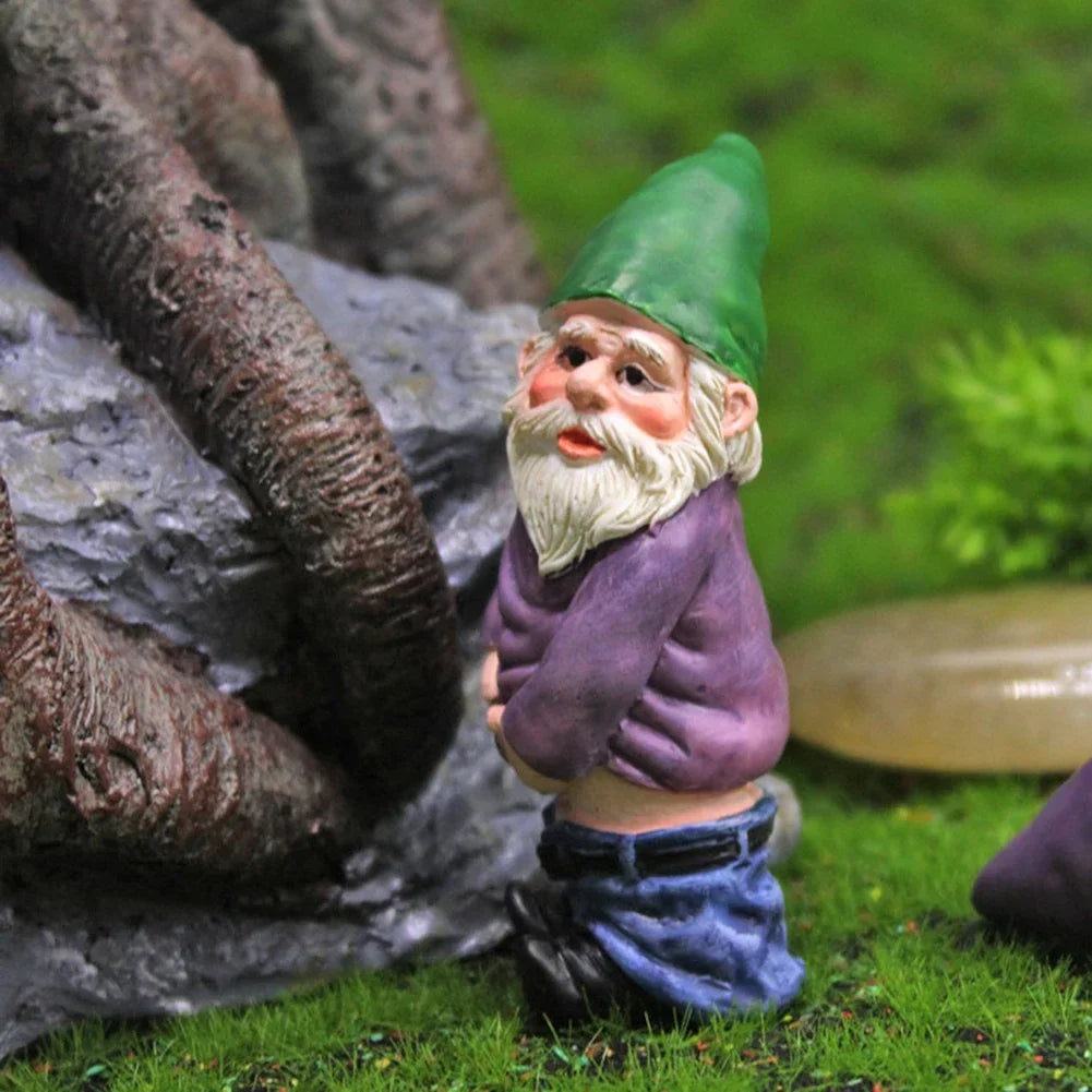 Enchanted Garden Gnome Set